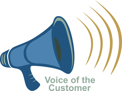 Voice of the Customer